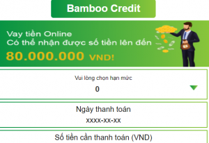Bamboo Credit là gì? Vay tiền Bamboo Credit có lừa đảo không?