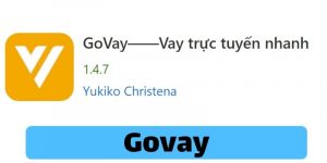Govay là gì? Vay tiền Govay có lừa đảo không? Vay tiền Govay có uy tín không?