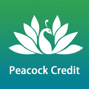 Peacock Credit là gì? Vay tiền Peacock Credit có lừa đảo không?