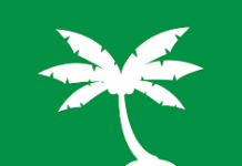 Ví Cây Cọ vay tiền online nhanh chỉ cần CCCD